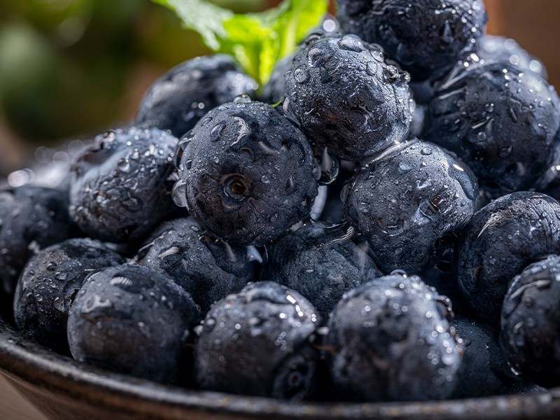 自然馈赠，冷链直达 | 渼链农业蒙自蓝莓2025.12.13正式上架，诚邀各大企业品鉴合作
