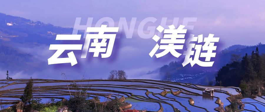 扎根红河沃土，链通农业未来